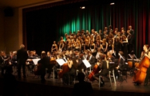 Festival Internacional de Música de Gaia - FIMG