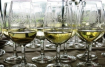 35 MEDALHAS DISTINGUEM VINHOS DO MARCO DE CANAVESESES