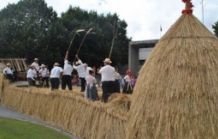 Festa do Agricultor