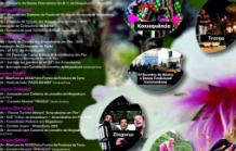Amendoeiras em Flor 2019