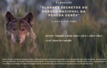 “Olhares Secretos do Parque Nacional da Peneda Gerês”