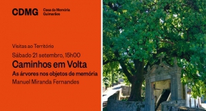 Caminhos em Volta- As &aacute;rvores nos objetos de mem&oacute;ria