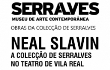 Obras da Colecção de Serralves NEAL SLAVIN
