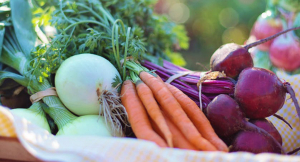 OS SABORES DO CAMPO - Feirão de Tradições