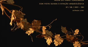 Cata de vinos de Tongobriga Cata de vinos de Tongobriga