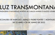 Luz Transmontana - paisagens e naturezas mortas(...)