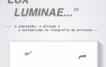 Lux Luminae - Exposição Fotográfica