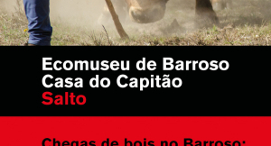 "Chegas de Bois no Barroso: a paixão deste povo" "Chegas de Bois no Barroso: a paixão deste povo"
