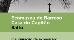 "Árvores Vigilantes do Tempo", de Fátima Carvalho "Árvores Vigilantes do Tempo", de Fátima Carvalho