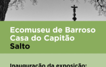 "Árvores Vigilantes do Tempo", de Fátima Carvalho