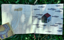 Crescem Duendes no Jardim