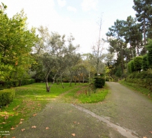 Parque de Campismo de Vila Real