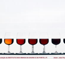Vino de Oporto Vino de Oporto