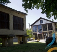 Restaurant  Quinta da Petisqueira