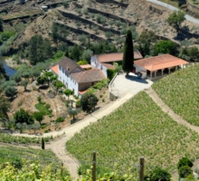 Farm of Passadouro