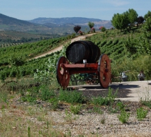 Quinta da Terrincha, Sociedade Agrícola Lda.