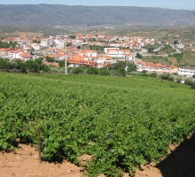 Quinta do Vale da Perdiz – Sociedade Agrícola, LDA