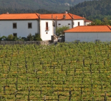 Farm-house of Reguengo / Alvarinho Route