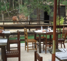A Tasca da Quintinha Restaurant A Tasca da Quintinha Restaurant