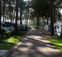 Camping Park Vila do Conde