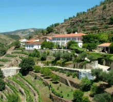 Quinta do Panascal