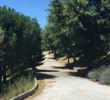 PARQUE DE CAMPISMO RURAL DE ABOIM DA NÓBREGA