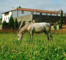 Quinta da Casa Alta