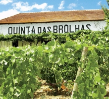 Quinta das Brôlhas